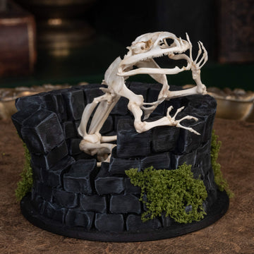 A meticulously articulated frog skeleton sits within an aged stone well, embodying the ancient parable of "The Frog in the Well." This gothic osteology piece blends folklore with macabre artistry, making it a captivating symbol of wisdom, limitation, and curiosity.