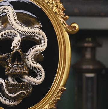 A meticulously articulated snake skeleton coils around a human skull, both elegantly mounted on a Gothic frame. The delicate, sinuous bones of the serpent wrap tightly around the skull, symbolizing death, rebirth, and eternity. This macabre yet sophisticated display blends dark academia aesthetics, natural history, and occult symbolism, making it a hauntingly beautiful centerpiece for any curio cabinet, gothic art collection, or Victorian-inspired interior. The intricate skeletal details and shadowed frame 